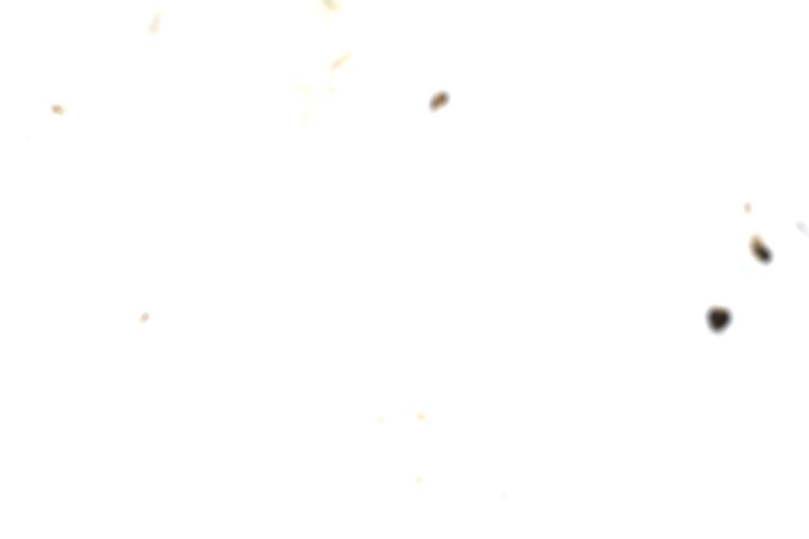 Image 114